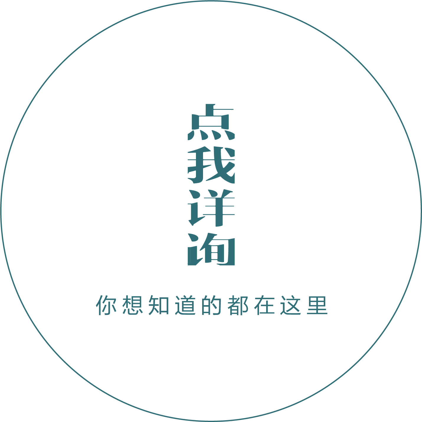 详细信息